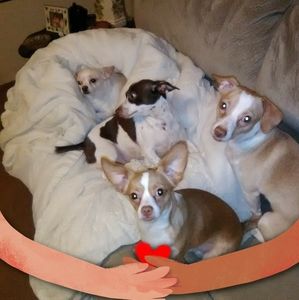 Meet your Posher, Randy